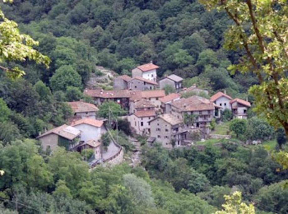 Torre Del Grifone Nel Medioevo Di Cividale Del Friuli Villa Faedis ภายนอก รูปภาพ