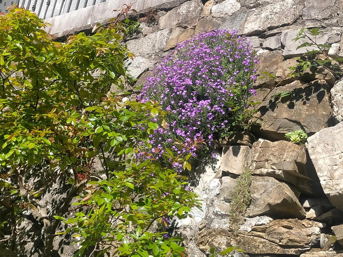 Torre Del Grifone Nel Medioevo Di Cividale Del Friuli Villa Faedis ภายนอก รูปภาพ